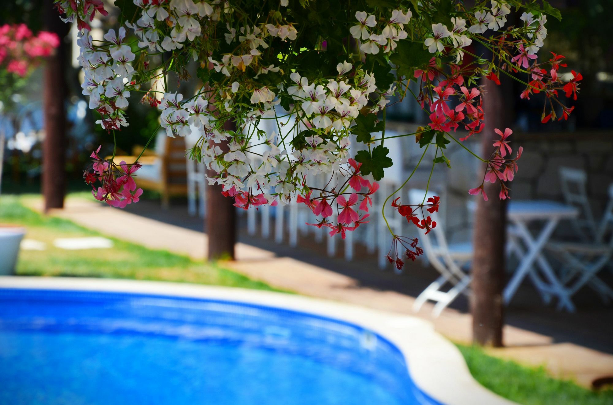 Tasquartas Hotel Alaçatı Exteriér fotografie