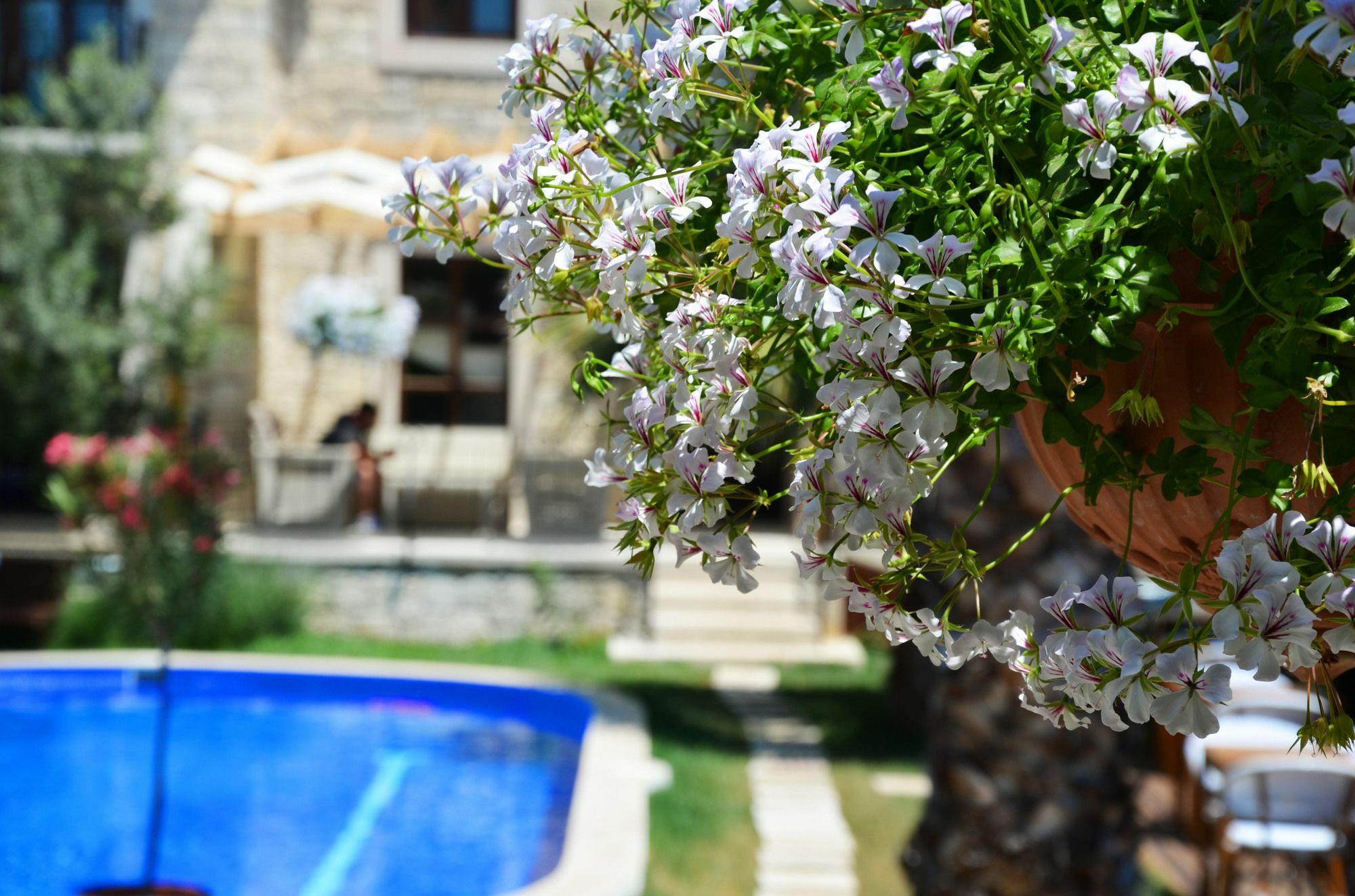 Tasquartas Hotel Alaçatı Exteriér fotografie